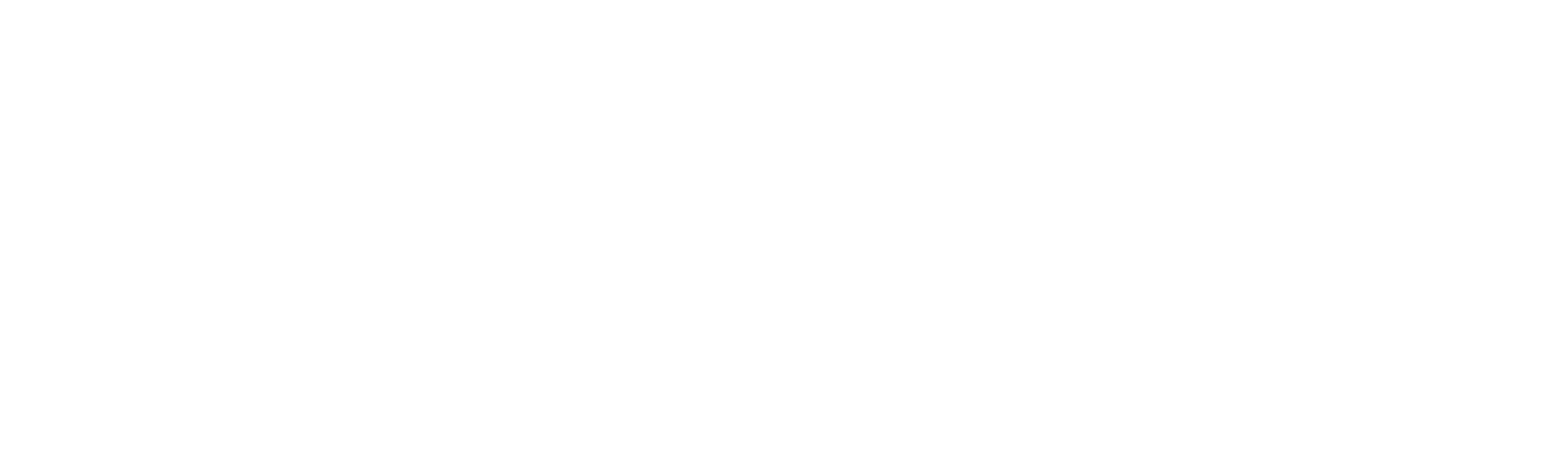 Logo Truzzty